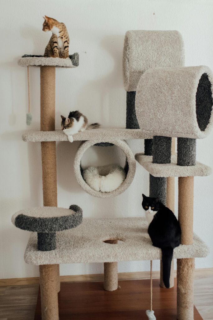 Three cats on a multi-level cat tree indoors, exhibiting playful behavior.
